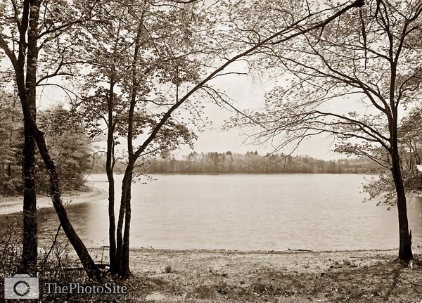 Henry David Thoreau's Cove, Walden Pond 1908 - Click Image to Close