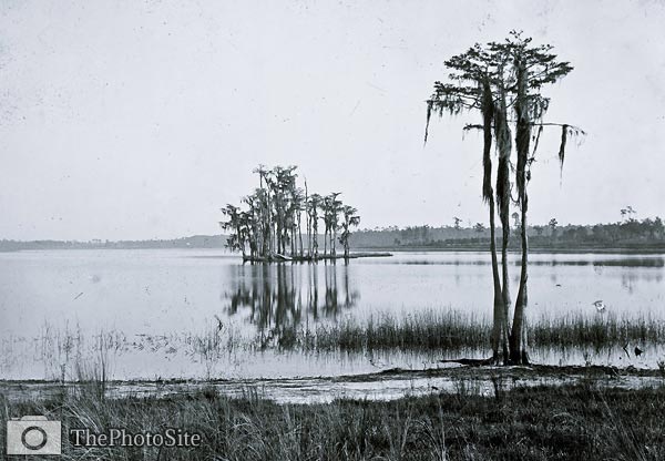 Lake Louise near Seville Florida 19th century - Click Image to Close