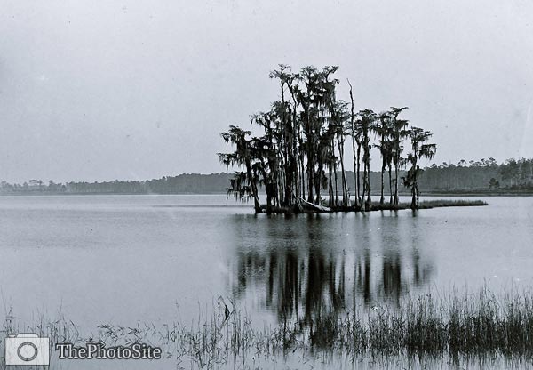 Lake Louise Seville Florida 1880's - Click Image to Close