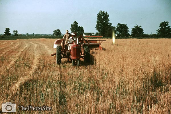 Harvesting oats by tractor, southeastern Georgia 1940 - Click Image to Close