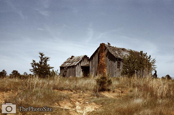 Rustic wood cabin in southern US, 1940 - Click Image to Close