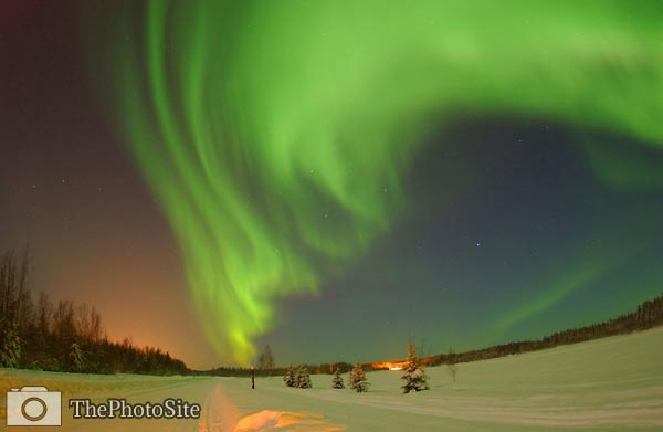 Northern Lights, Alaska - Click Image to Close