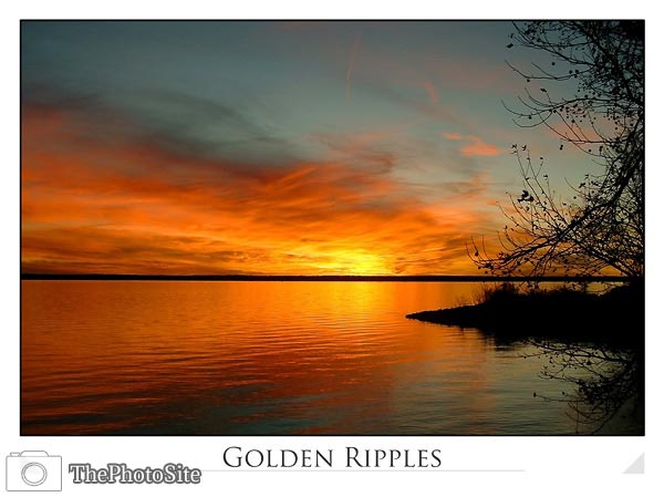 Golden Ripples - Click Image to Close