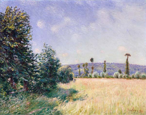 Meadows in morning sun 1894 - Click Image to Close