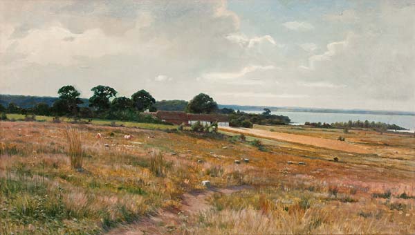 Landscape from the south of Sweden - Click Image to Close