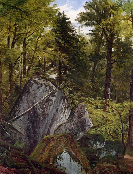 Forest Interior - Click Image to Close