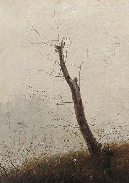Kahler Baum im Herbstnebel - Click Image to Close