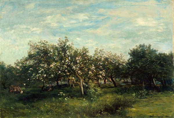 Apple blossoms - Click Image to Close