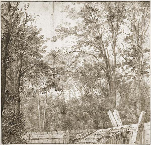Trees behind a Wooden Fence, c. 1638 1642 - Click Image to Close