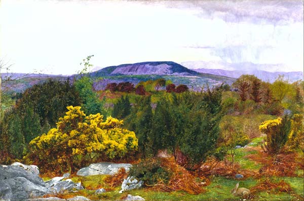 Spring, Arnside Knot and Coniston range of hills from Warton Cra - Click Image to Close