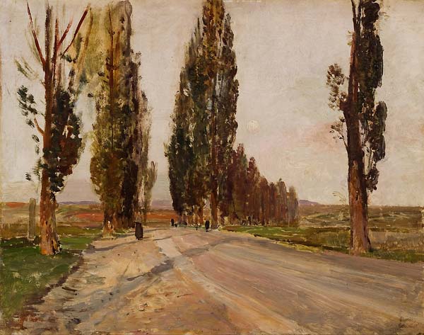 Boulevard of Poplars near Plankenberg - Click Image to Close