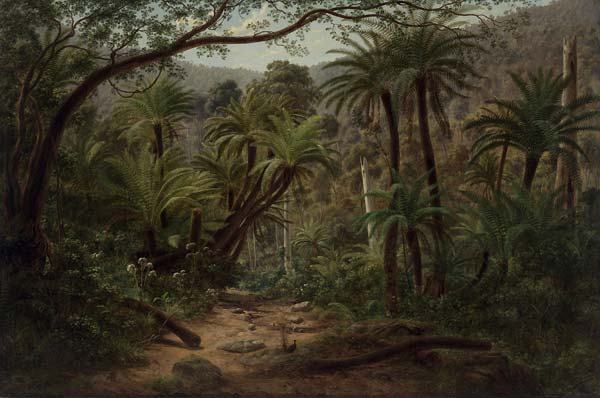 Ferntree Gully in the Dandenong Ranges - Click Image to Close