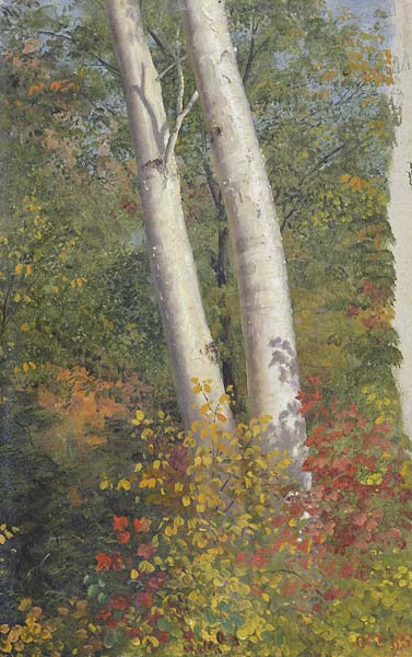 Birch Trees in Autumn - Click Image to Close