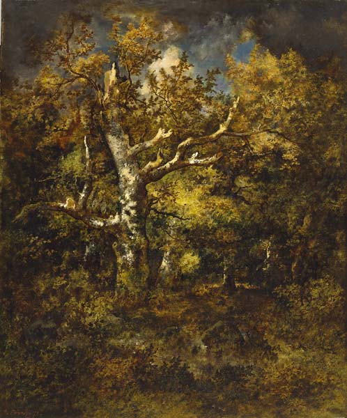 Forest of Fountainebleau, Autumn - Click Image to Close