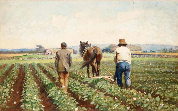 Cultivating potatoes - Click Image to Close