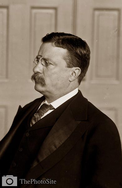 President Theodore Roosevelt in the White House - Click Image to Close