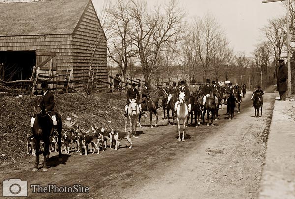 Horses and hunting dogs, Meadowbrook Hunt - Click Image to Close