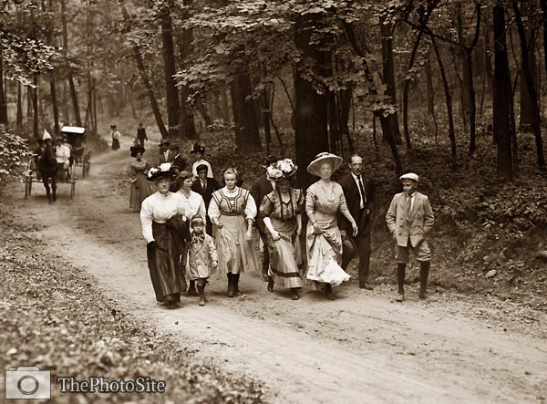 Walk in the woods, horse and carriage 1908 - Click Image to Close