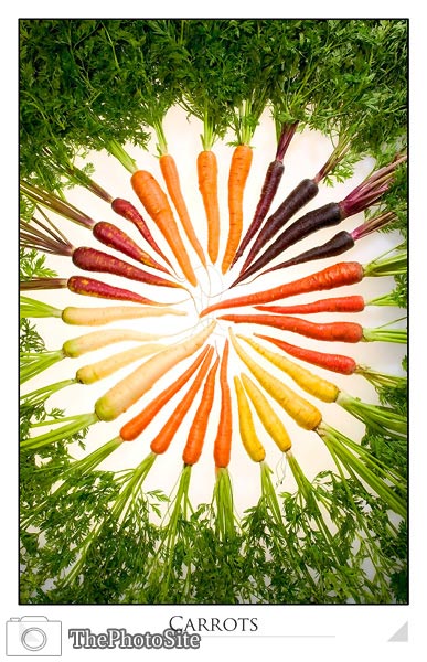 Carrot Varieties - Click Image to Close