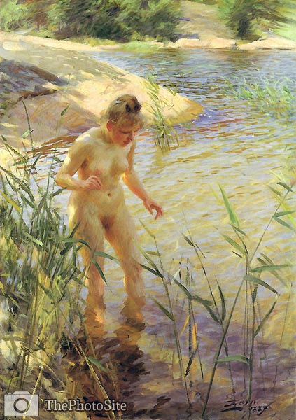 Reflexions Anders Zorn - Click Image to Close