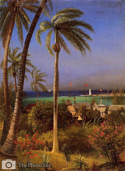 Bahamian View Albert Bierstadt - Click Image to Close