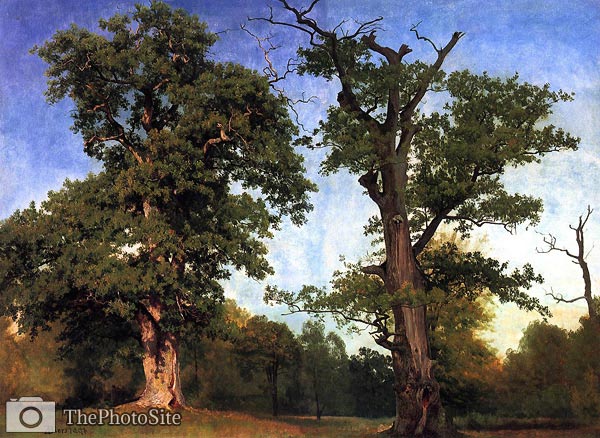 Pioneers of the Woods by Albert Bierstadt - Click Image to Close