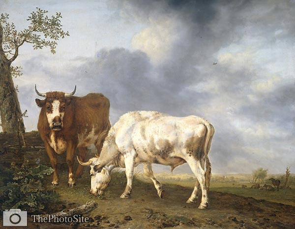 Oxen in a Meadow Jan Kobell II - Click Image to Close