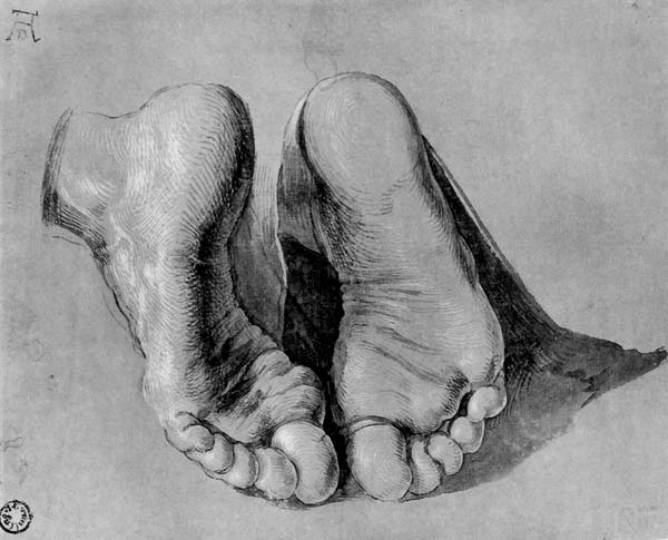 Feet of an apostle, Albrecht Durer - Click Image to Close
