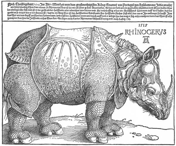 Rhinoceros 1515, Albrecht Durer - Click Image to Close