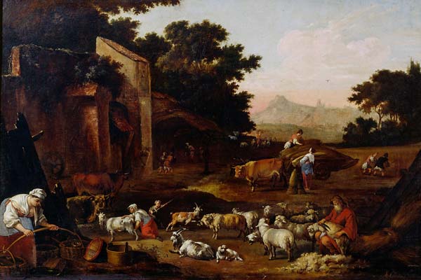 Sheep Shearing - Click Image to Close