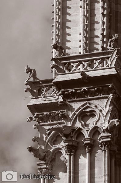Notre Dame gargoyle, Paris - Click Image to Close