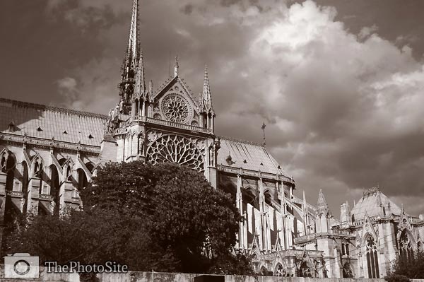 Notre Dame Cathedral, Paris - Click Image to Close