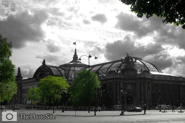 The Grand Palais, France - Click Image to Close