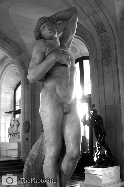 Michelangelo - dying slave sculpture louver, Paris - Click Image to Close