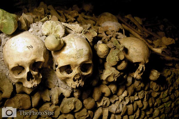 Stacked bones, Paris catacombs, France - Click Image to Close
