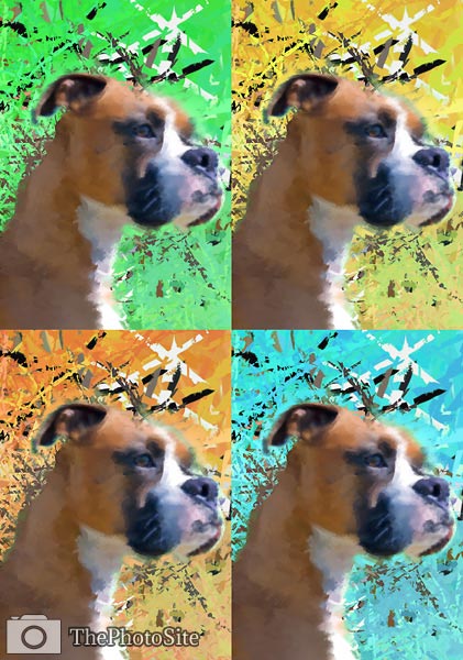 Boxer Dog Pop Art - Click Image to Close