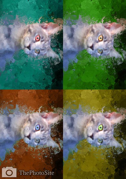 Cat Pop Art - Click Image to Close