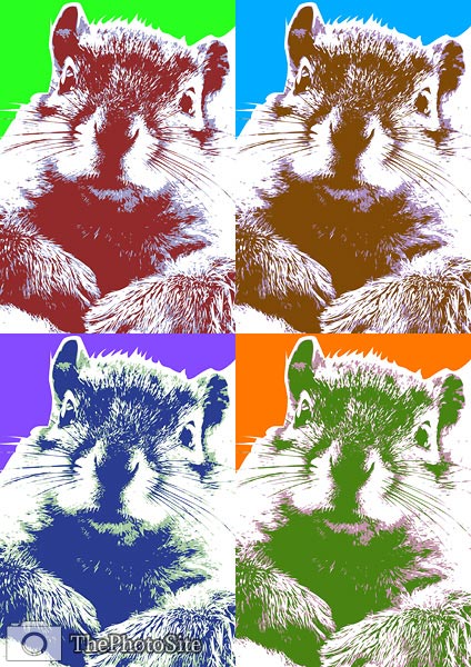 Cheeky Squirrel Pop Art - Click Image to Close