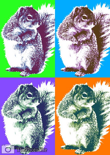 Squirrel Animal Pop Art - Click Image to Close