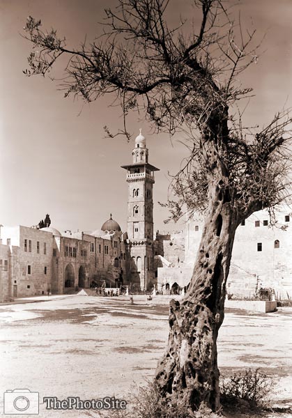 Bible Lands. Jerusalem, Tower of Antonia - Click Image to Close