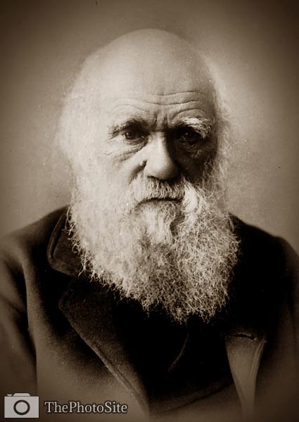 Charles Darwin English naturalist - Click Image to Close