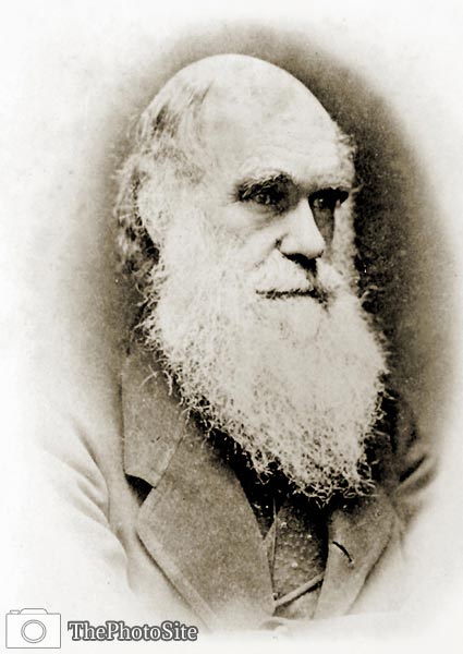 Photograph of Charles Darwin - Click Image to Close