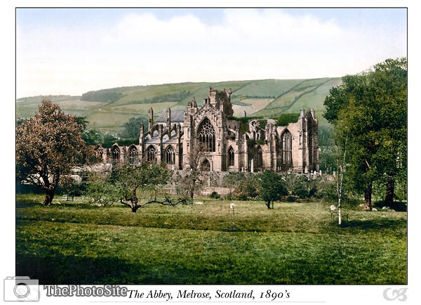Melrose Abbey, Scotland - Click Image to Close