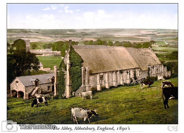 Abbotsbury Abbey, England - Click Image to Close