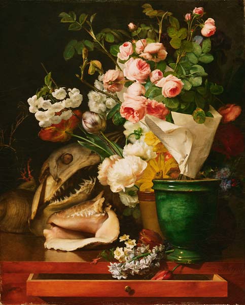 Still Life with Flowers, Shells, a Shark's Head, and Petrificati - Click Image to Close