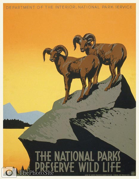 National parks Preserve Wildlife Poster - Click Image to Close