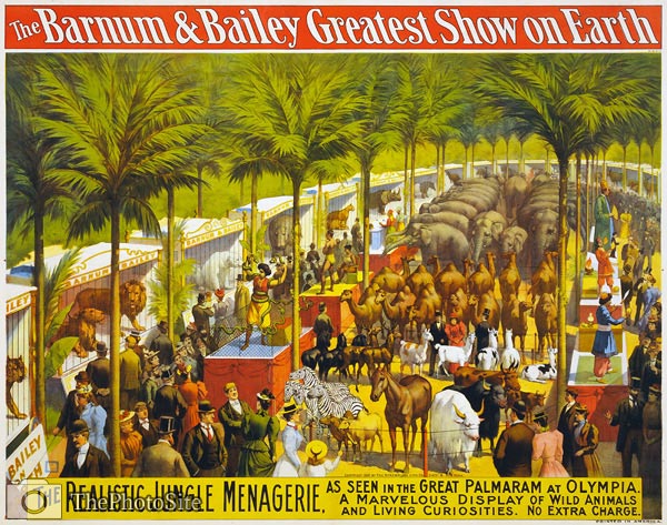 The realistic jungle menagerie Circus poster - Click Image to Close