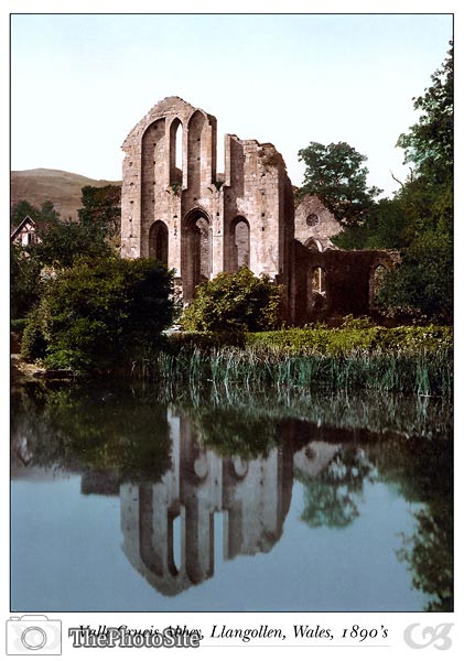 Valle Crucis Abbey, Llangollen, Wales - Click Image to Close