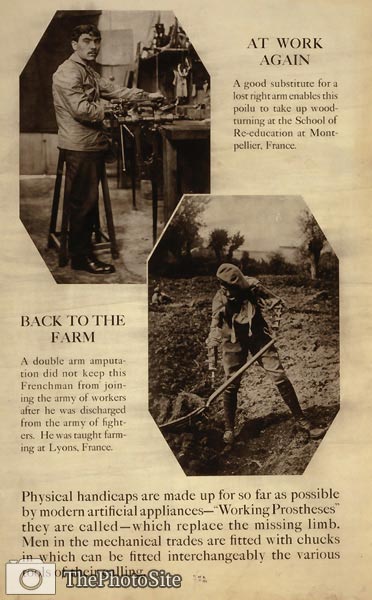 At work again Back to the farm WWI Exhibit Poster - Click Image to Close