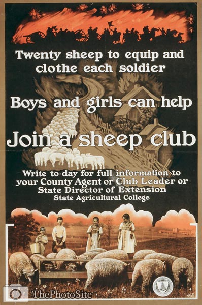Join a sheep club Poster - Click Image to Close